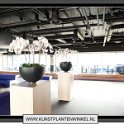 orchidee_wit_in_zwarte_decozuil 2